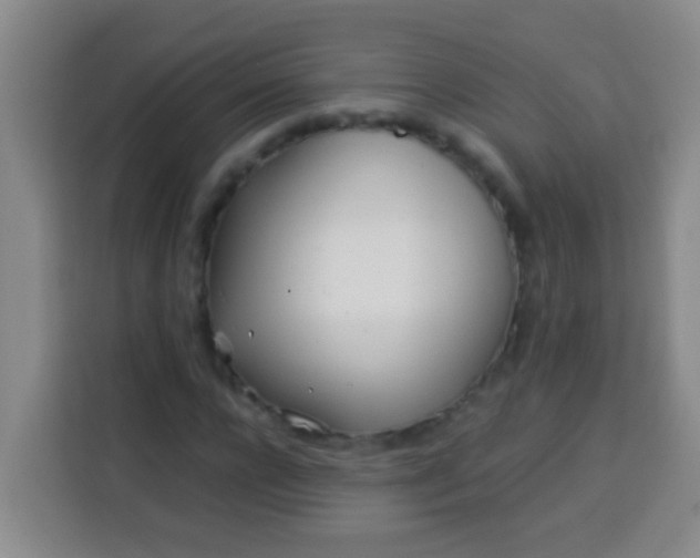 X0000113540920200910021346