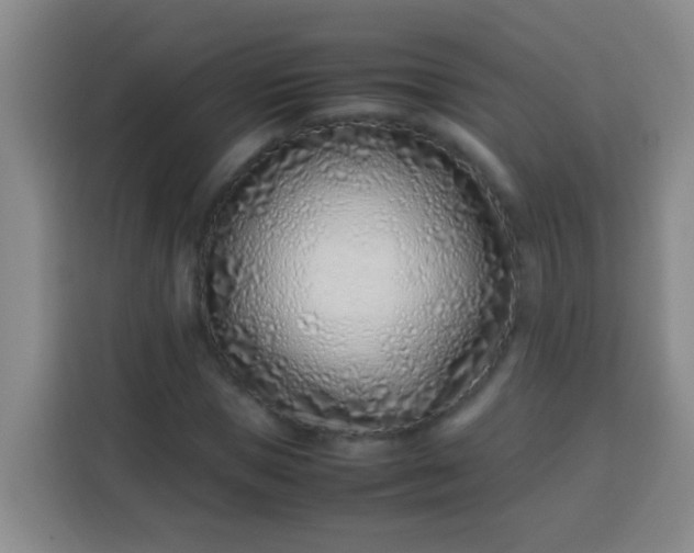 X0000113540921200910021346