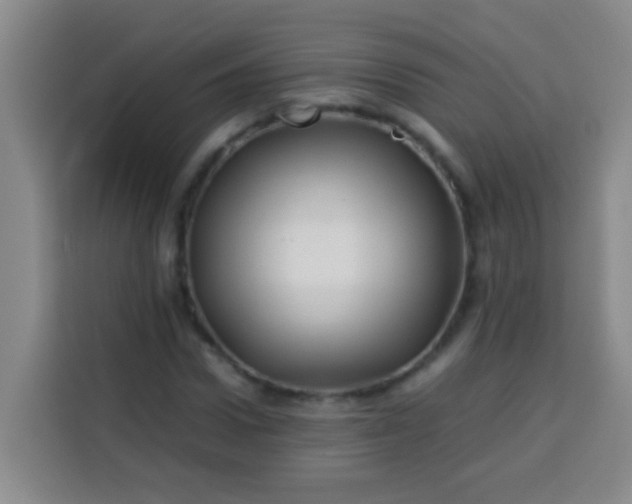 X0000113540922200910021346