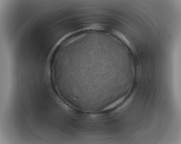 X0000113540923200910021346