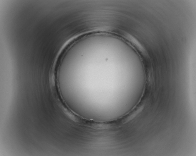 X0000113540924200910021346