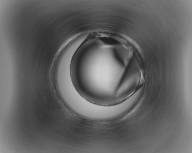 X0000113540925200910021346