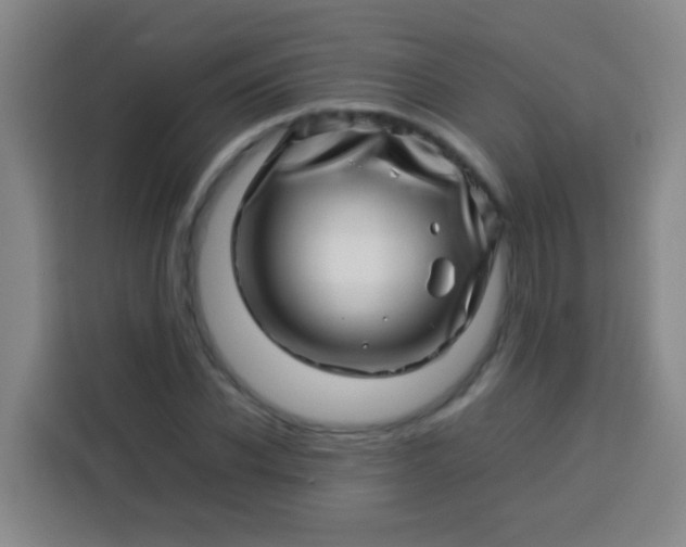 X0000113540926200910021346