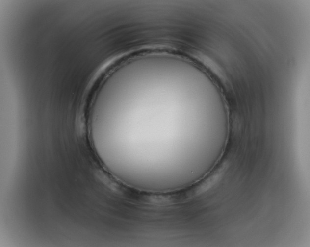 X0000113540927200910021346