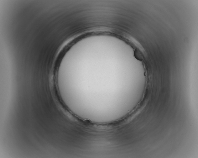 X0000113540928200910021346