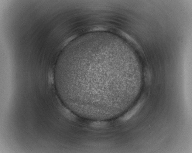 X0000113540929200910021346