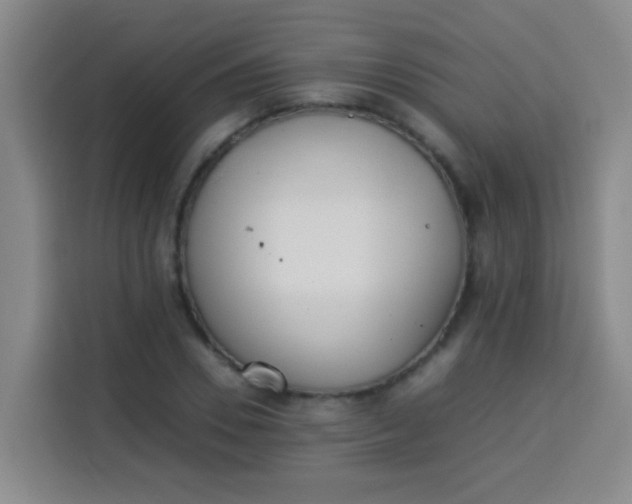 X0000113540930200910021346