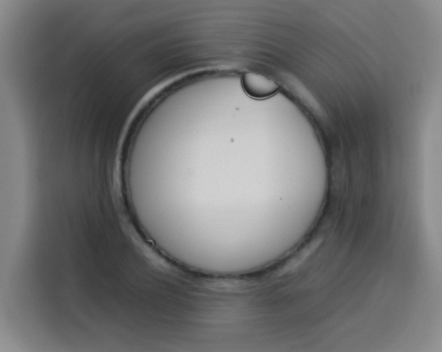 X0000113540932200910021346