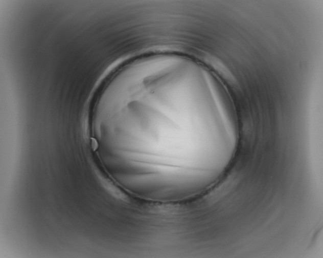 X0000113540934200910021346