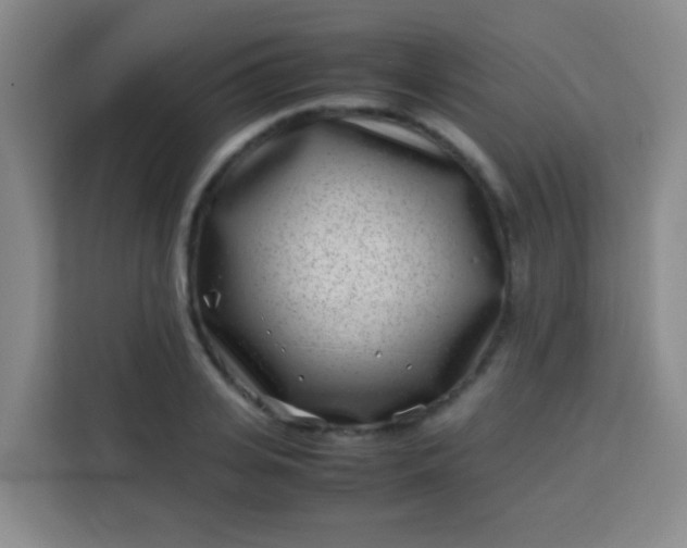 X0000113540935200910021346