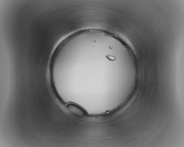 X0000113540936200910021346