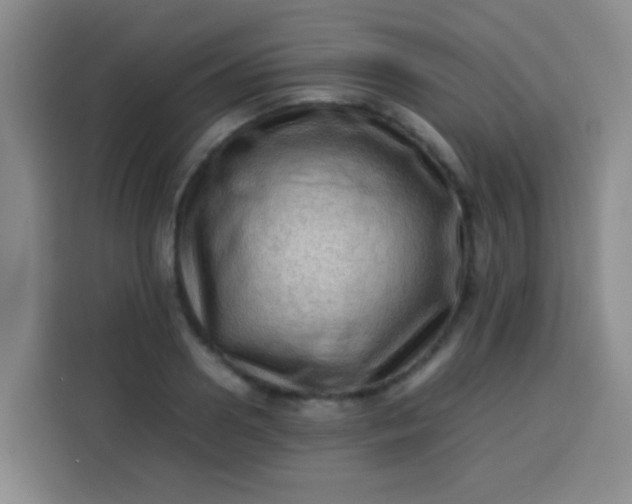 X0000113540938200910021347