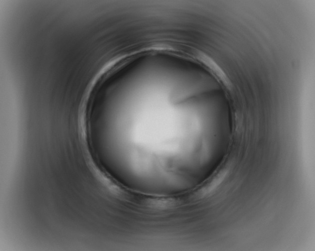 X0000113540939200910021347