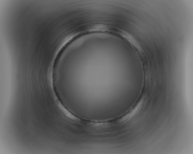 X0000113540941200910021347