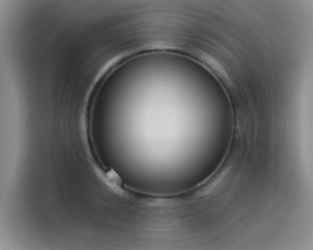 X0000113540942200910021347