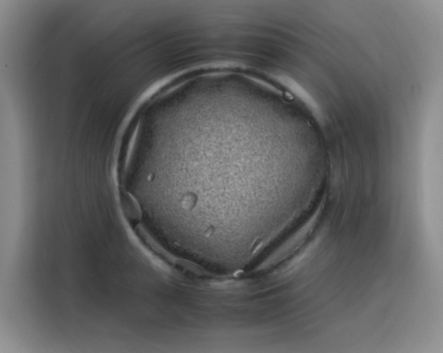 X0000113540943200910021347