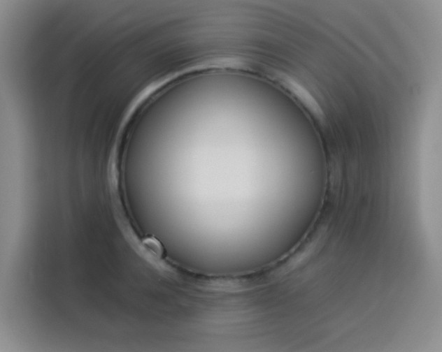 X0000113540944200910021347