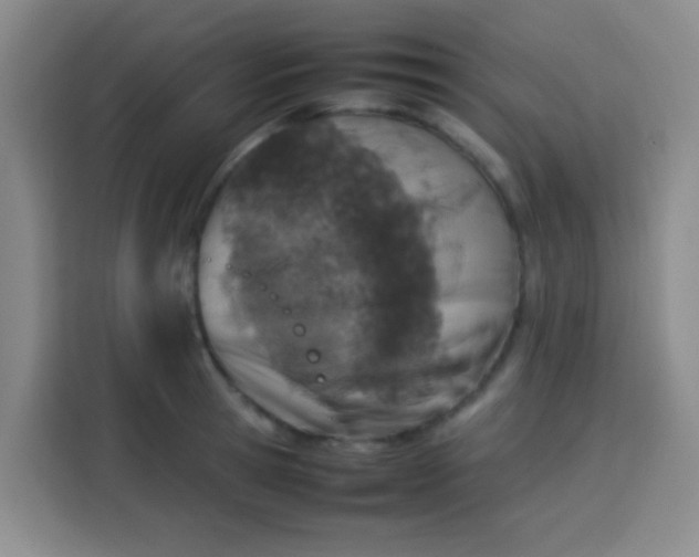 X0000113540945200910021347