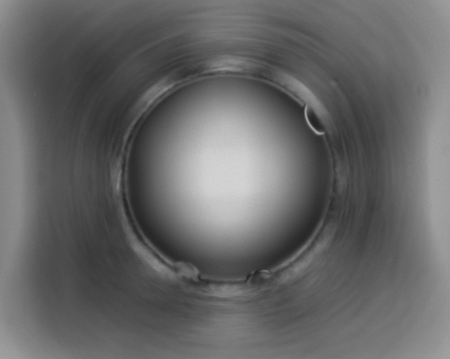 X0000113540946200910021347