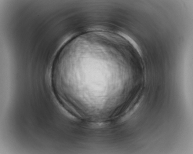 X0000113540949200910021347