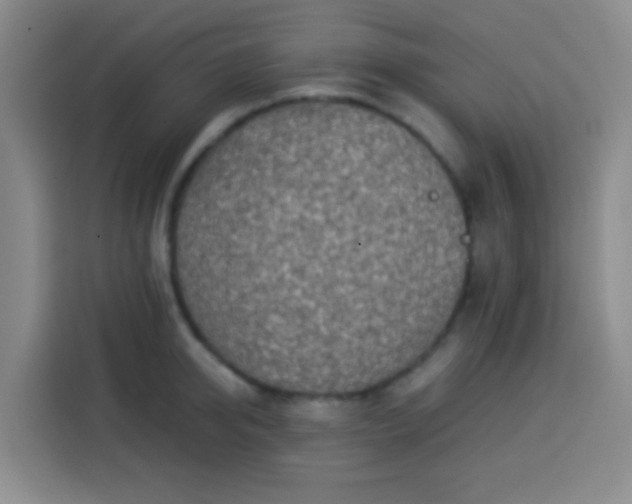 X0000113540950200910021347