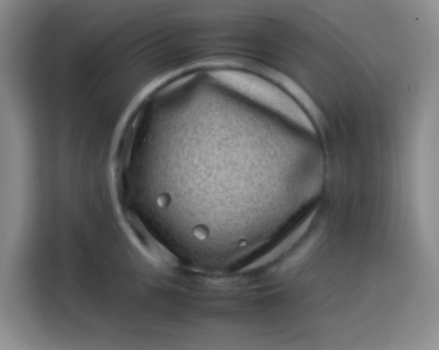 X0000113540951200910021347