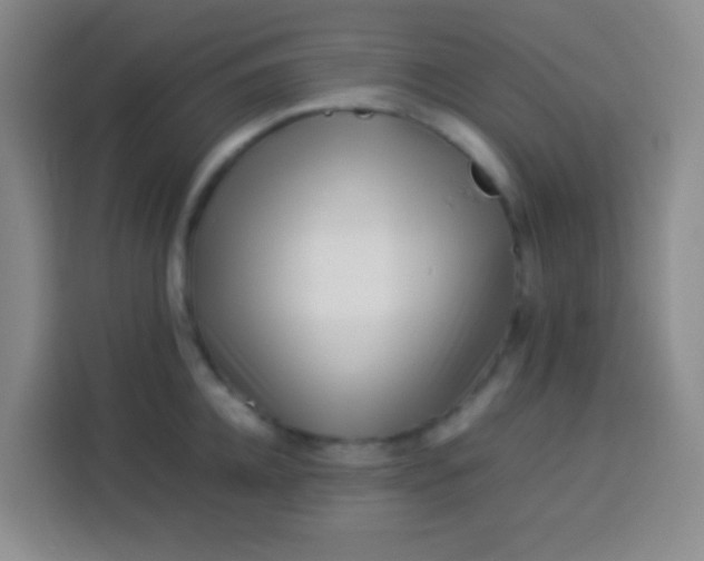 X0000113540952200910021347