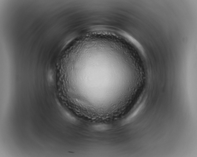 X0000113540953200910021347