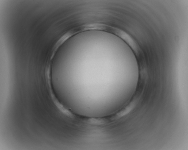 X0000113540954200910021347