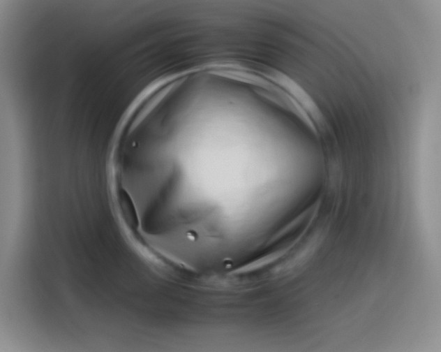 X0000113540955200910021347