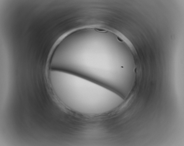 X0000113540956200910021347