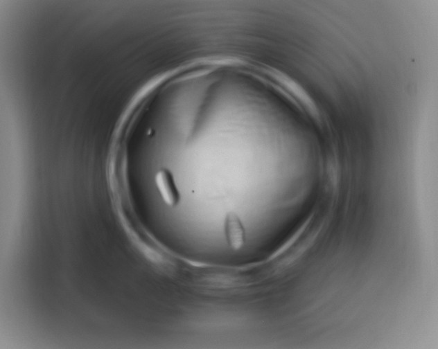 X0000113540959200910021347