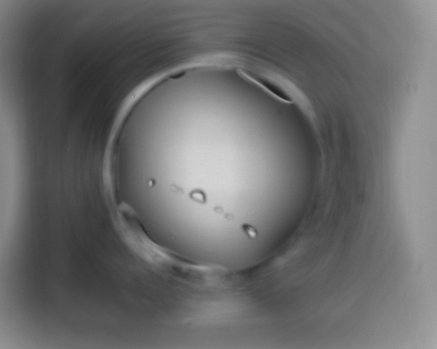 X0000113540960200910021347