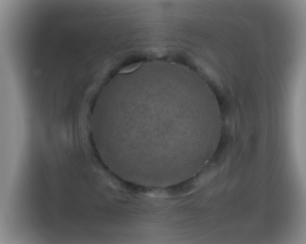 X0000113540961200910021346