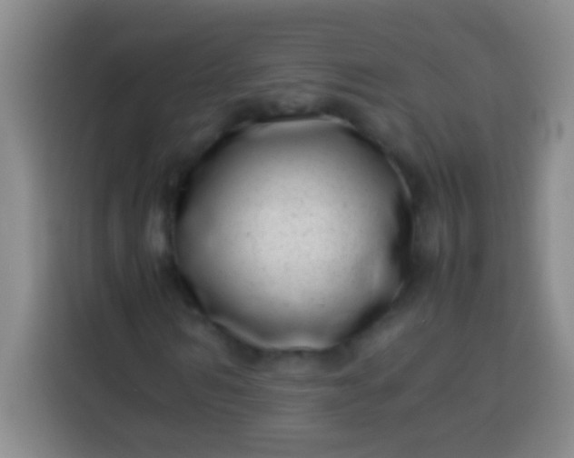 X0000113540962200910021346