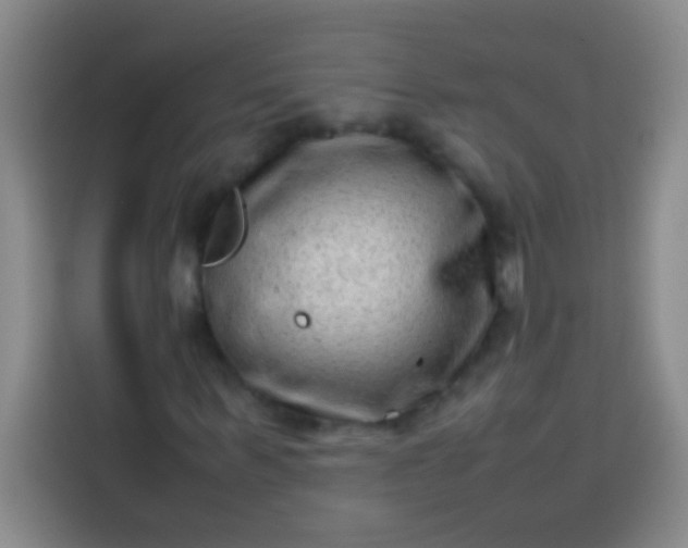 X0000113540963200910021346