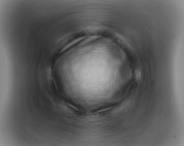 X0000113540964200910021346