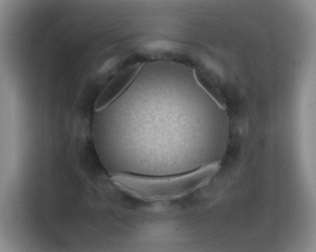 X0000113540965200910021346