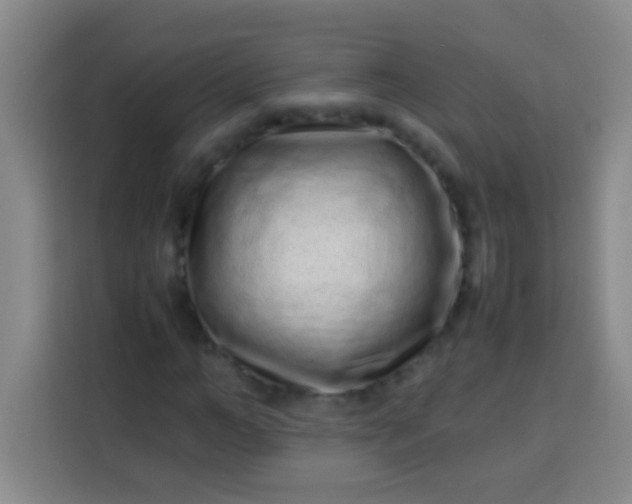 X0000113540966200910021346