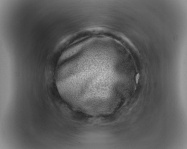 X0000113540967200910021346