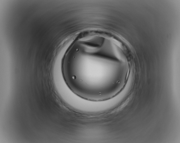 X0000113540969200910021346