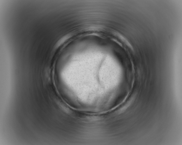 X0000113540970200910021346