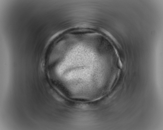 X0000113540971200910021346