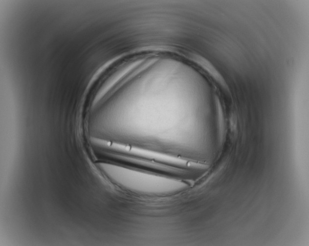 X0000113540972200910021346