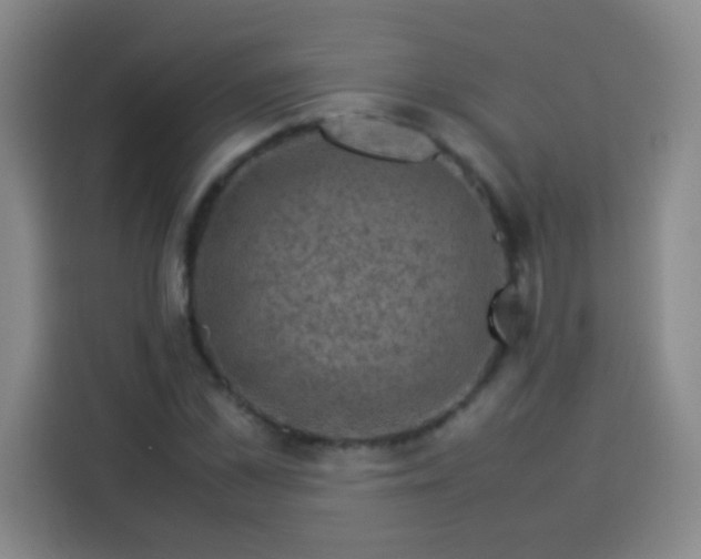 X0000113540973200910021346