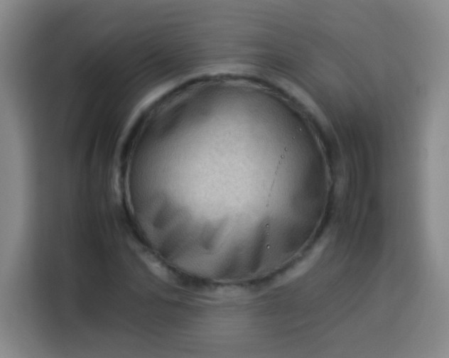 X0000113540974200910021346