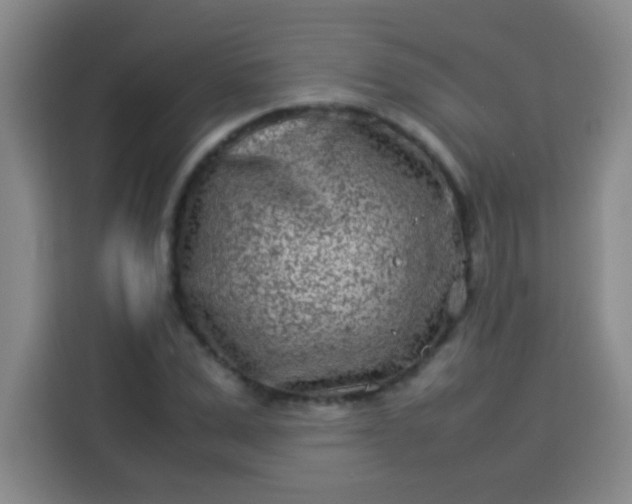 X0000113540975200910021346