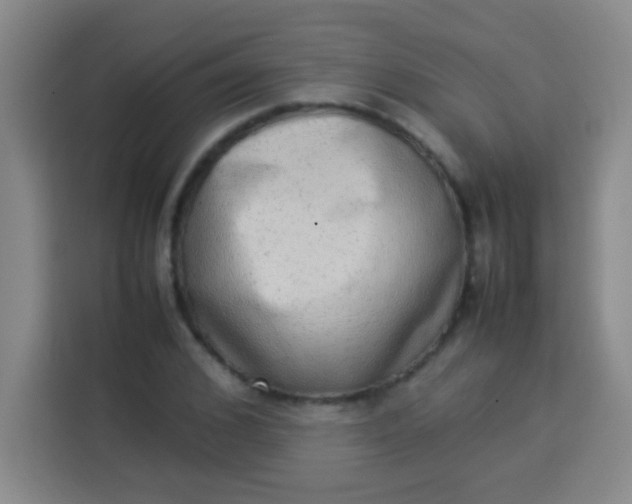 X0000113540976200910021346