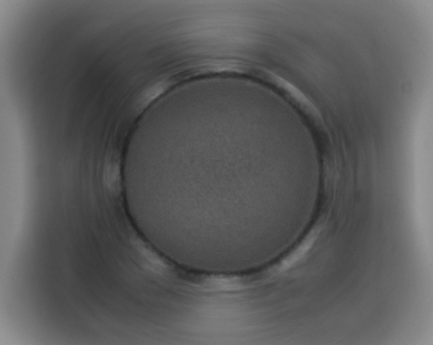 X0000113540977200910021346