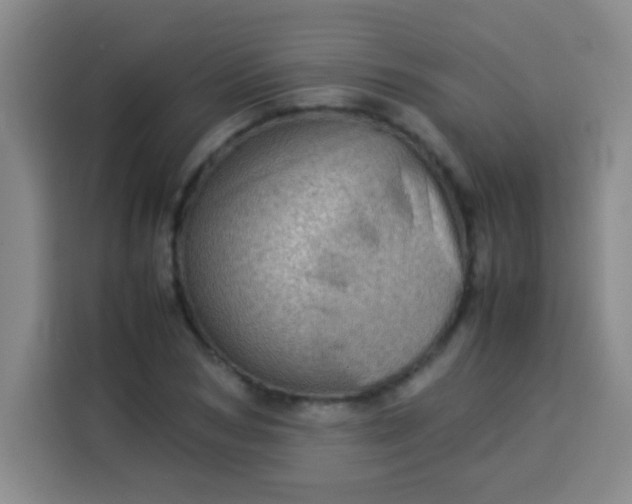 X0000113540978200910021346